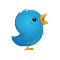 Twitter Icon